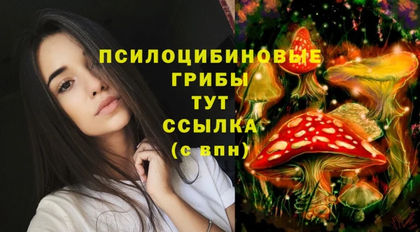 соль ск Горнозаводск