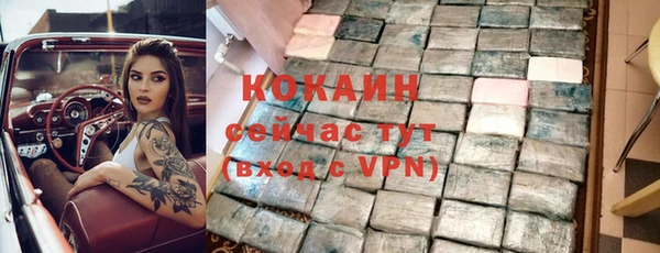 ГАЛЛЮЦИНОГЕННЫЕ ГРИБЫ Горняк