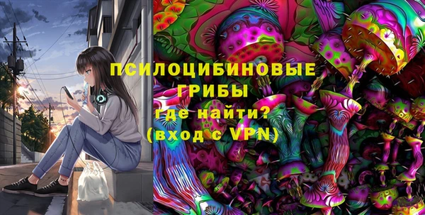 ГАЛЛЮЦИНОГЕННЫЕ ГРИБЫ Горняк