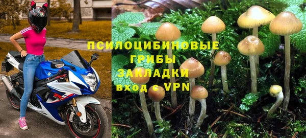 ГАЛЛЮЦИНОГЕННЫЕ ГРИБЫ Горняк