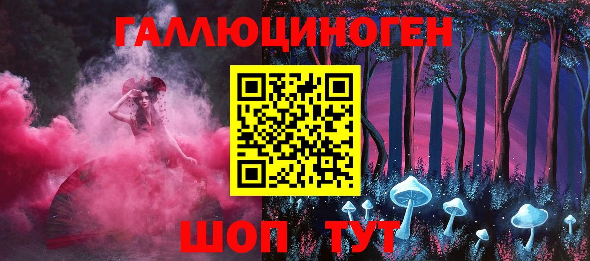 Галлюциногенные грибы Psilocybine cubensis Канск