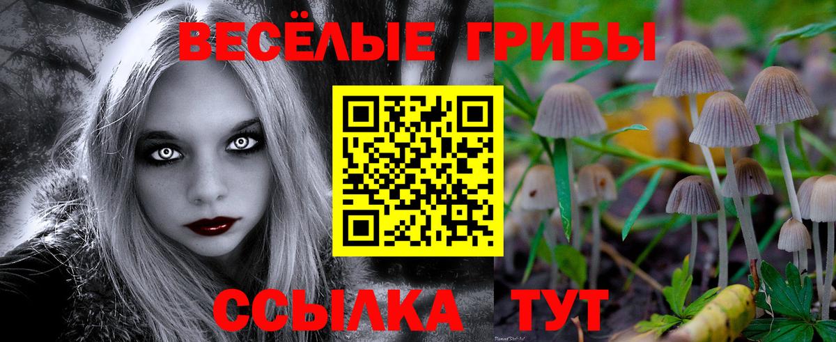 Канск  Псилоцибиновые грибы Magic Shrooms  Вход с VPN 