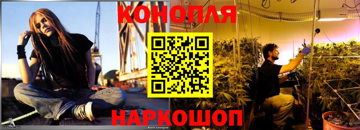 Шишки марихуана SATIVA & INDICA  МАРИХУАНА AK-47  Вход с VPN  Канск 